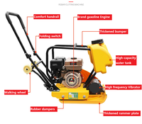 Meilleure vente de compacteur à plaque d'asphalte de compactage à pied avec vente à essence