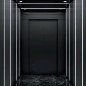 Ascensor de Pasajeros de Vidrio Moderno de Alto Rendimiento para la Construcción de Edificios Altos, Kit de Modernización de Ascensor Incluido - Product Image 1