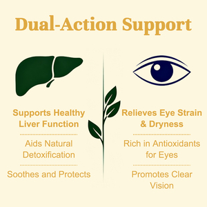 Tisane biologique naturelle double action <span class=keywords><strong>pour</strong></span> la santé du <span class=keywords><strong>foie</strong></span> et des yeux, favorise la détoxification et soulage la fatigue - Product Image 4