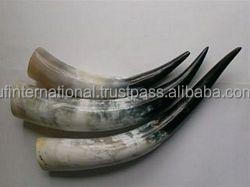 Reasonable Price Drinking <b>Horn</b> with Customized Size Bast Natural <b>Horn</b> Color <b>Buffalo</b> <b>Horn</b> Hand Made Polish Low Price - Product Image 6