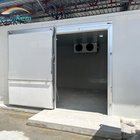 Chambre froide industrielle de haute qualité pour poulet congelé, grande capacité de stockage -18°C ° Chambre froide C