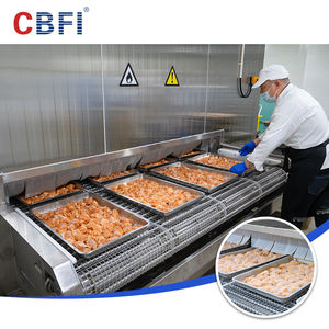 ماكينة تجميد أنفاق فردية IQF للأطعمة البحرية والفواكه والخضروات - Product Image 4