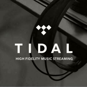 บัญชีสมาชิก Tidal Premium Music แบบ Hifi Plus ระยะเวลา 12 เดือน - Product Image 2