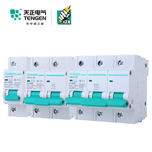 Disjoncteur Tengen Tgb1n 125 2P 3P 100A Type D pour la protection du démarrage du moteur - Product Image 1