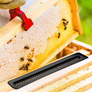 20 pièges à coléoptères pour <span class=keywords><strong>ruche</strong></span>, pièges en plastique pour coléoptères de <span class=keywords><strong>ruche</strong></span>, outils d'apiculture pour ruches - Product Image 6