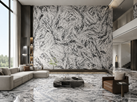 Dalles de marbre blanc Phoenix pour îlots de cuisine, éviers sur pied, escaliers, buffets en pierre et panneaux muraux décoratifs à motifs.