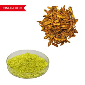 Hongda 5% 10% Coptis Chinensis Extracto Berberine Hcl Polvo
