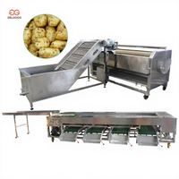 Fruit- en groentewasser, -schiller, aardappelwas- en sorteermachine, roestvrij staal, elektrische motor met hoge efficiëntie
