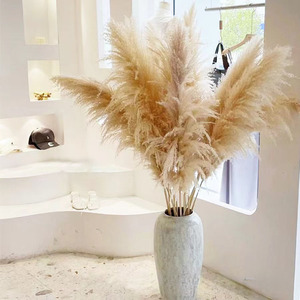 40 "pulgadas <span class=keywords><strong>10</strong></span> tallos Natural Pampas Grass <span class=keywords><strong>Decor</strong></span> Tall Pompas Grass, Tall Pampas Grass para boda, fiesta, granja, Boho Home <span class=keywords><strong>Decor</strong></span> - Product Image 4
