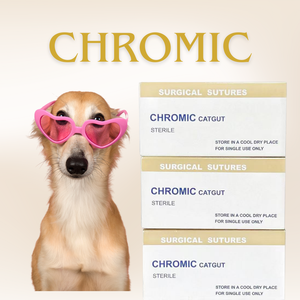 Suturas Quirúrgicas Veterinarias Recubiertas de PGA/PDO/seda/nailon/catgut/PGLA/<span class=keywords><strong>PDS</strong></span>, Suturas de Dioxanona - Product Image 1