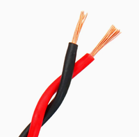 Câbles électriques en cuivre à 2 conducteurs, paire torsadée RVS, câble flexible isolé en PVC, 0,5-6 mm, utilisation pour alarme/résistance au feu, construction