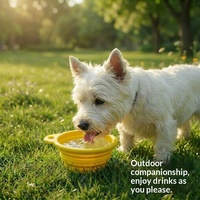 Bol pliable en silicone pour animaux de compagnie, portable, pour l'extérieur, de qualité alimentaire, pour l'eau