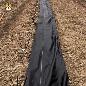 <span class=keywords><strong>Manta</strong></span> Antihierbas de Tela Tejida de PP/PE Ecológica al por Mayor para Agricultura, Jardín y Vivero - Product Image 5
