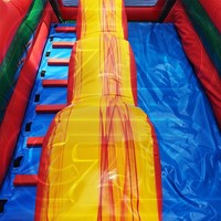 Toboggan aquatique gonflable en PVC de qualité commerciale, motif cocotier irisé, avec jets d'eau, pour location d'équipements de fête en piscine extérieure
