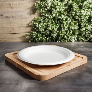 Assiettes jetables ovales 100 % compostables en bagasse de 12 pouces, biodégradables et écologiques pour barbecue, pique-nique, fête - Product Image 2