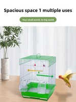 Cage à oiseaux en métal avec plateau en plastique, style classique, emballage en boîte - Grande cage d'élevage pour canaris, accessoires pour animaux de compagnie, vente en gros