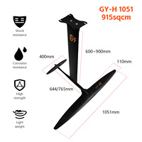 Hydroptère GY-H1051 de haute qualité nouvelle planche à eau pour débutant kitesurf et planche à voile accessoire d'aile avant en carbone