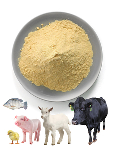 שמרים מבשלת פעיל תוספת להאכיל בעלי חיים כיתה fodder יבש אבקת תוספות עבור עופות בקר עוף דגים עוף חזיר - Product Image 6