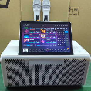 전문 안드로이드 가라오케 시스템 UHF 무선 마이크 100W 오디오 500K + 노래-무선 터치 스크린 사운드 장비 - Product Image 2