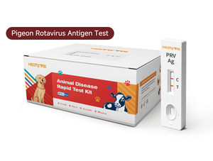Kit <span class=keywords><strong>de</strong></span> Prueba Rápida <span class=keywords><strong>de</strong></span> Antígeno del Rotavirus Aviar, Directo <span class=keywords><strong>de</strong></span> Fábrica, Kit <span class=keywords><strong>de</strong></span> Prueba PRV Ag <span class=keywords><strong>para</strong></span> Análisis Patológico - Product Image 1