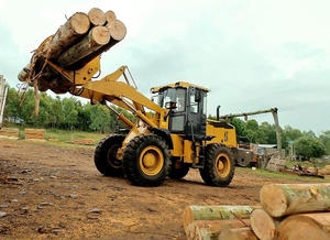 MONDE Log Grapple Loader Mechanical Grapple Loader Accesorio - Product Image 3