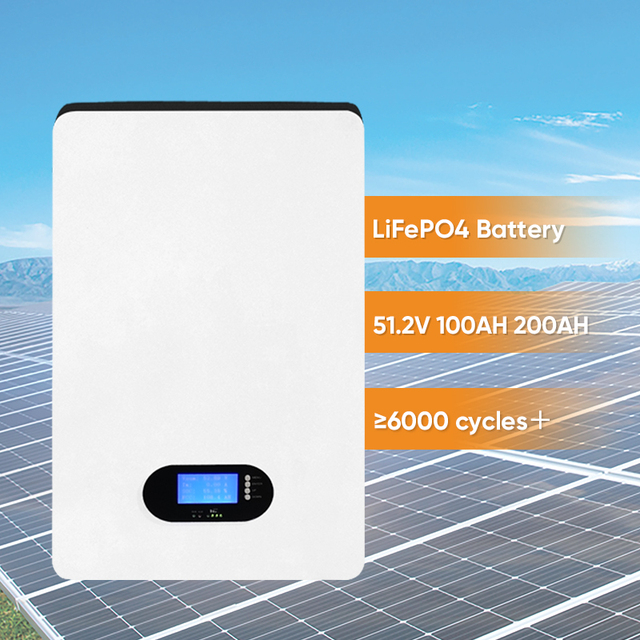 Compact Wall Mounted LiFePO4 Storage 51.2v 200ah Long Service Life 48v 100ah Lithium Batteries Home Use