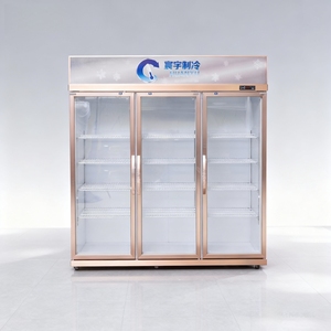 Réfrigérateur vertical de présentation pour boissons de magasin de proximité, avec porte vitrée, sans givre, à refroidissement direct par ventilateur, pour bières et boissons - Product Image 3