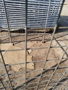 Indonésie 1000 poulets petite ferme avicole - Product Image 2