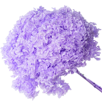 Lovebay bunga Hydrangea asli diawetkan, bunga Hydrangea asli merah putih dengan batang untuk pesta pernikahan rumah
