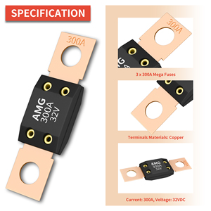 Cầu Chì AMG 32V DC Cho Xe Hơi Hàng Hải Xe Hơi Năng Lượng Bảo Vệ 100A 125A 150A 175A 200A <span class=keywords><strong>250A</strong></span> 300AMP Cầu Chì Lớn Lưỡi Xuống Bu Lông - Product Image 3