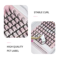 Extensions de cils synthétiques noires pré-faites à pointes douces individuelles de haute qualité, prêtes à être expédiées, faites à la main, naturelles, cils de fée DD