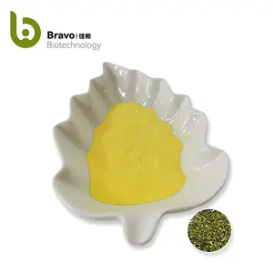 High Purity Extracted Products Cosmetic Ingredients Antioxidants Surfactants Food Additives Quercetin Powder Supplement