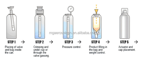 Aérosol Aluminium Can Aerosol Can Chrome Effect Accessorized 53*180mm BOV & Buses pour Gel Douche Moussant Haut <span class=keywords><strong>de</strong></span> Gamme - Product Image 3