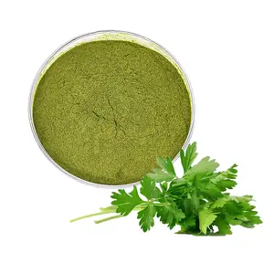 Pabrik Halal Halal 100% Bubuk Parsley Semprot Bubuk Parsley Kering