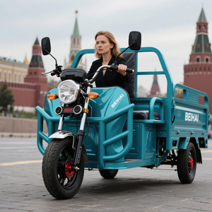 Forte capacità di carico dell'azienda agricola a tre ruote Cargo elettrico diretto in fabbrica - Product Image 3