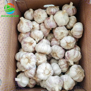 <span class=keywords><strong>Ail</strong></span> frais de haute qualité, sans bulbes pourris, provenant de fermes chinoises, durée de conservation de 12 mois, grande quantité disponible pour la Chine - Product Image 3