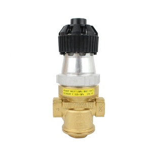 Vanne de décompression directe MIYAWAKI RE1 en gros, 1/2 pouce, 3/4 pouce, 1 pouce, DN15, DN20, DN25, vanne de réduction de pression pour vapeur - Product Image 1