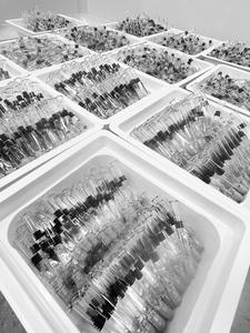 เข็มฉีดยาแก้วบอโรซิลิเกตที่เตรียมไว้สำหรับเครื่องสำอางขนาด1มล. - Product Image 5