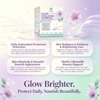 Collagène marin en poudre ODM OEM avec glutathion, vitamine C, peptides de collagène, acide hyaluronique et niacinamide – Complément anti-âge pour la beauté