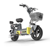 Vélo Électrique Urbain Adulte 14 Pouces Dernier Modèle en Gros, Moteur Brushless Haute Vitesse 48V, Cadre en Acier Inoxydable, Batterie au Plomb