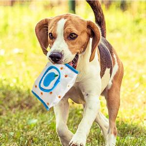 <span class=keywords><strong>Amazon</strong></span> yeni pet oyuncaklar kedi çekme doku oyuncaklar Sniff eğitim enerji tüketen eğlenceli gizli gıda yavru oyuncaklar - Product Image 2