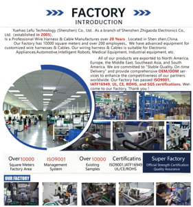 工厂直供摩托车线束电缆装配线，带 PVC 适配器连接器，2 针线束线架 - Product Image 5