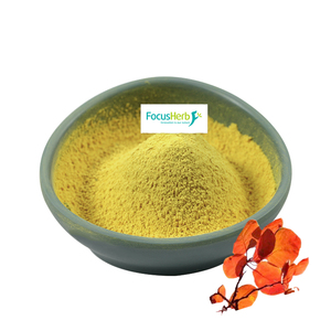 Extracto de Cotinus Coggygria al 98% de Fisetina en Polvo, Alta Pureza, Venta al Por Mayor - Product Image 1