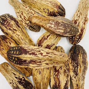 YHC17 Yang tao guo, venta al por mayor, fruta de <span class=keywords><strong>Carambola</strong></span>, mascota, fruta comestible, fruta de averroa seca, juguete - Product Image 6