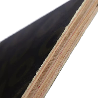 Oferta: Madera Contrachapada Moderna de Álamo de 4x8 con Revestimiento de Película, Ecológica, de Primera Clase, Resistente a la Humedad, Tablero de Chapa de Madera de 18 mm para Construcción, de 3 mm a 18 mm