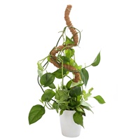 Varilla de soporte curvada DIY para plantas, con forma de palo de coco, para enredaderas y musgo, con moldeado libre para jardinería