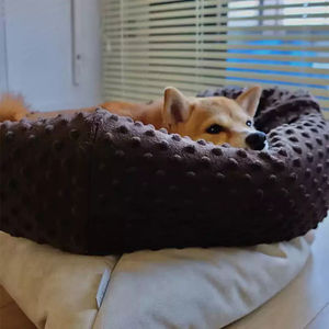 نوعية لطيفة مخصصة جرو كلب منتجات الحيوانات الأليفة سرير الحيوانات الأليفة مريحة - Product Image 3