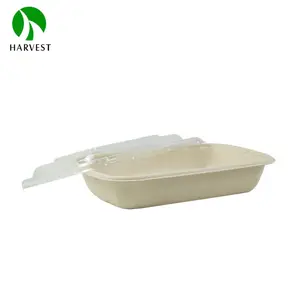 Rectangle 1000 Ml Compostable Microwave Bagasse Paper Bowl With Lid