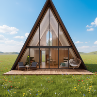 Maison d'appartement moderne de luxe à structure triangulaire en acier - Conception imperméable, durable et écologique pour salon et cour