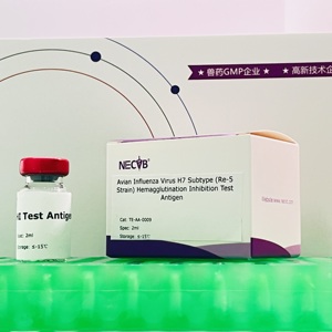 Antigène pour test d'inhibition de l'hémagglutination de la <span class=keywords><strong>grippe</strong></span> aviaire H7 sous-type Re5 - Product Image 3